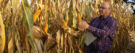 Le notations Les notations