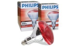 Ampoule infrarouge Philips 250W