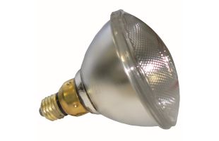 Ampoules PAR blanches Interheat 175W - 2 pièces