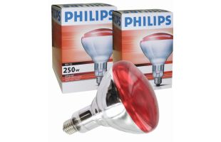 Ampoule rouge Philips