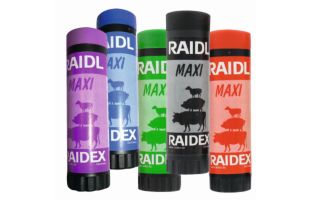 Crayon marqueur - Raidex