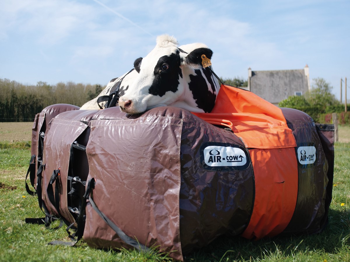 Air-cow, le système de levage approuvé par les éleveurs !